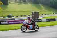 Vintage-motorcycle-club;eventdigitalimages;mallory-park;mallory-park-trackday-photographs;no-limits-trackdays;peter-wileman-photography;trackday-digital-images;trackday-photos;vmcc-festival-1000-bikes-photographs